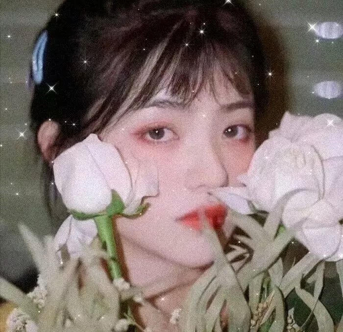 美国佬与他的后宫